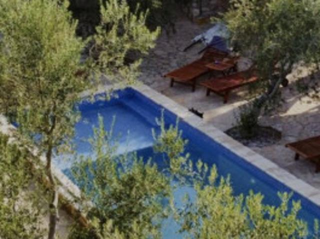 Sowas gibt es kein zweitesmal einmaliges anwesen mit 35000qm olivenbäume einer steinhaus villa, plus gästehaus