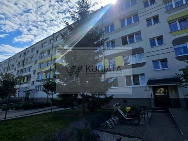 Sowia 69 m², Lubin