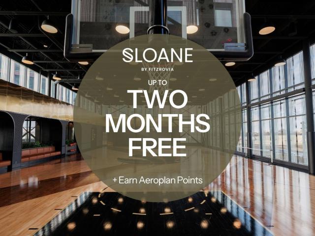 Sloane Floral [object Promise] for Rent