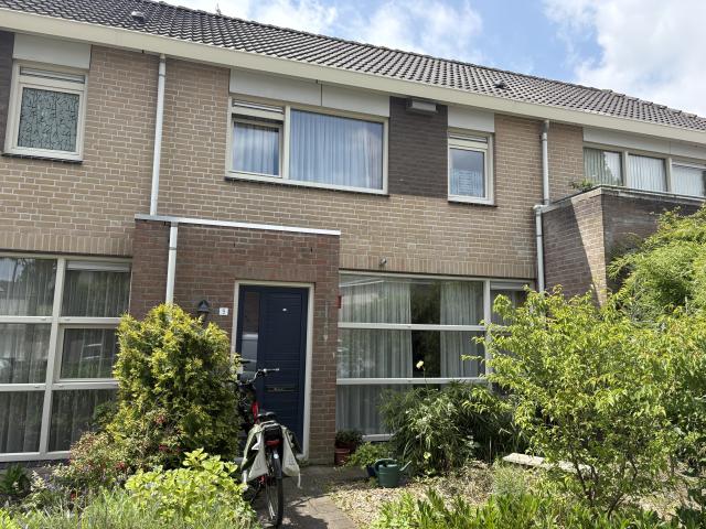 Sleutelbloem 9