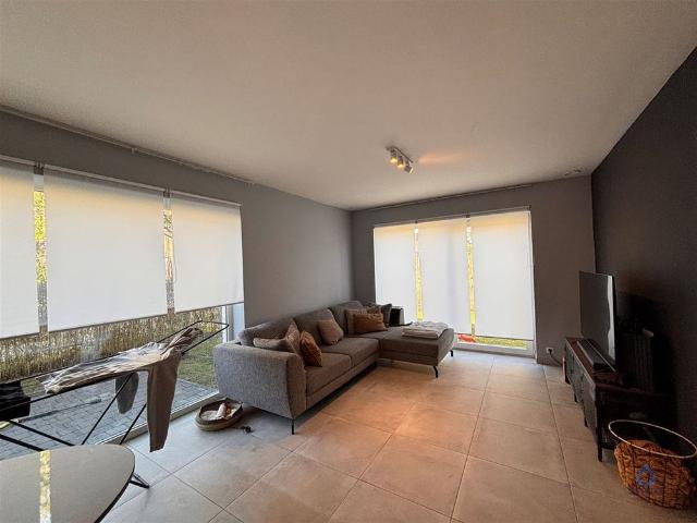 Sleedoorn 23, 9300 AALST