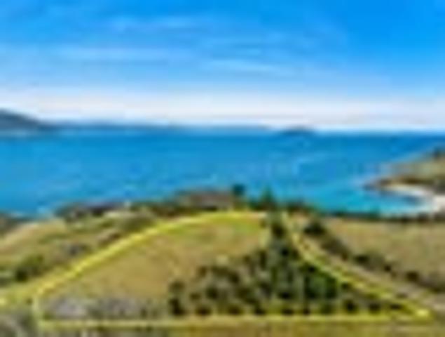 Slipper Island Magic