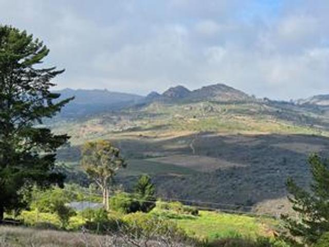 smallholding on the mountain
