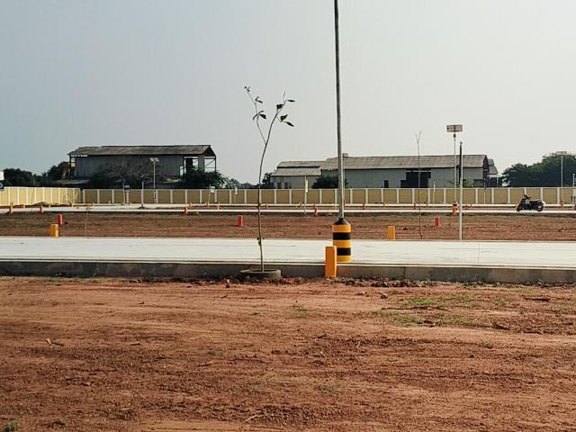 Smart Avenue 1200 Sq.Ft. Plot in Pudukkottai nh Trichy Listing ID: #8695