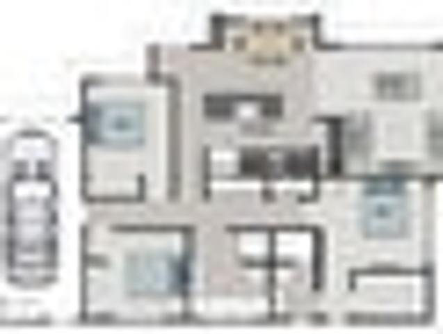 Smart Buying in Katikati