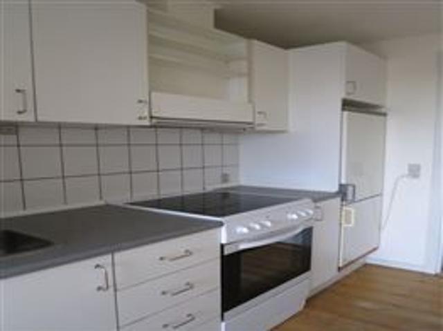 Smedebakken, Odense N