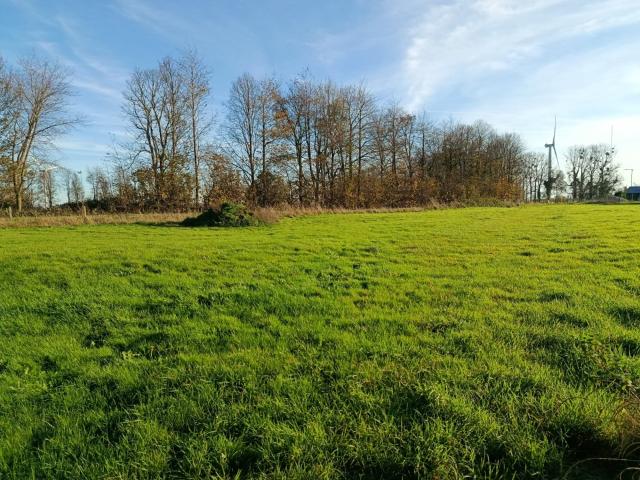 Smermesnil Vente Terrain 76