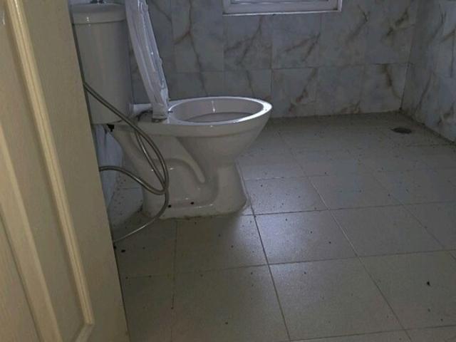 SS The Leaf 2 Bedroom 1640 Sq. Ft. Apartment in Sector 85 Gurgaon Listing ID: #10205