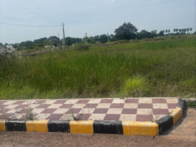 SSP Sree City Prime 184 Sq. Yd. Plot in Kankipadu Vijayawada Listing ID: #10006