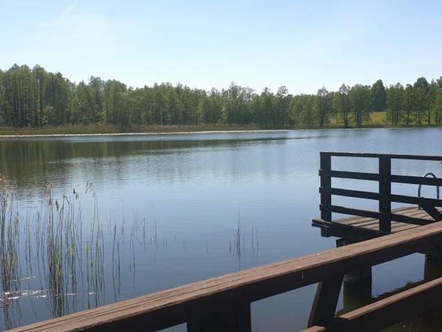 Sportowa 1 000 m², Rybno