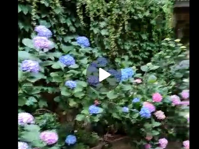 Spazio di lavoro di design con giardino