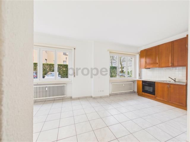 Spazioso 1.5 locali single room ben collegato ai servizi, Lugano