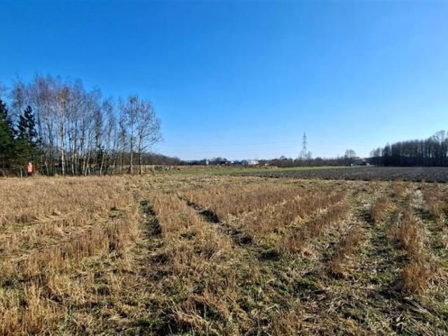 Spacerowa 1 024 m², Oświęcim