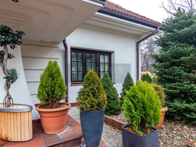 Spacerowa 270 m², Marki