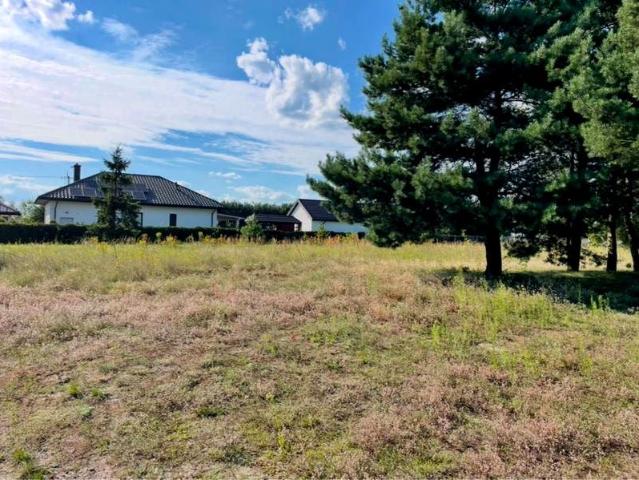 Spacerowa 2 729 m², Włoszczowa