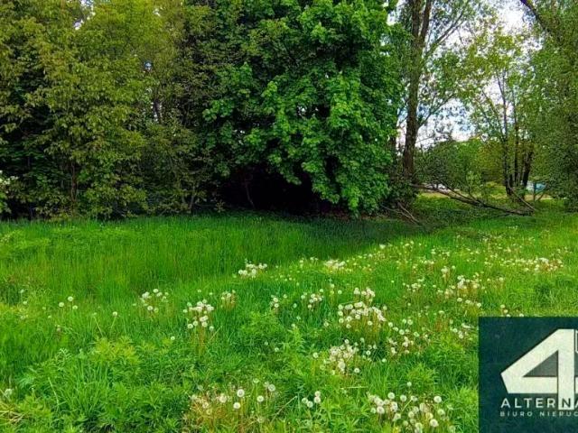Spacerowa 2 220 m², Piotrków Trybunalski