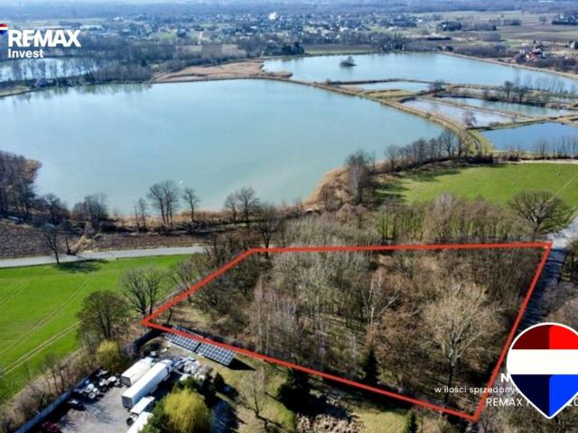 Spacerowa 9 056 m², Osiek