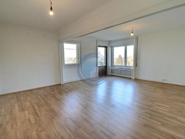SPACIOUS 4.5 ROOM APARTMENT WITH OFFICE AND LAKE VIEW