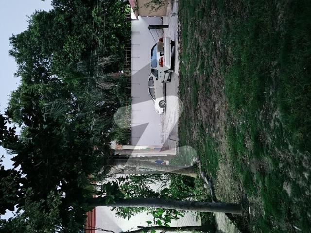 Spacious 50 Marla Single Storey House for Rent with Big Lawn and Prime Location University Town