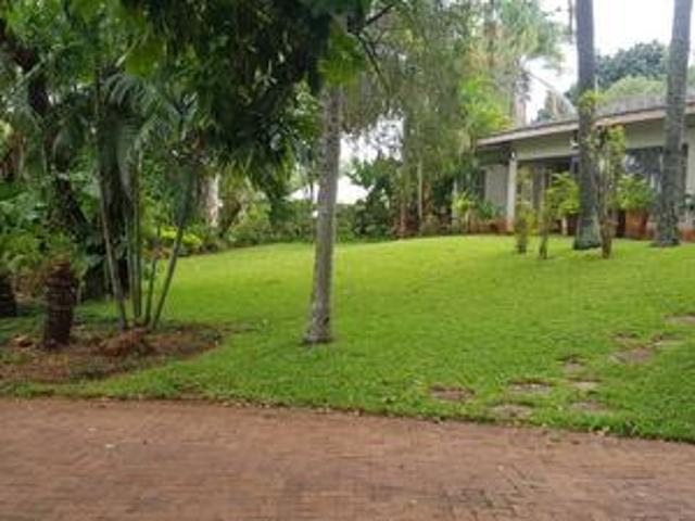 spacious 6 bed in sentra park with g.
