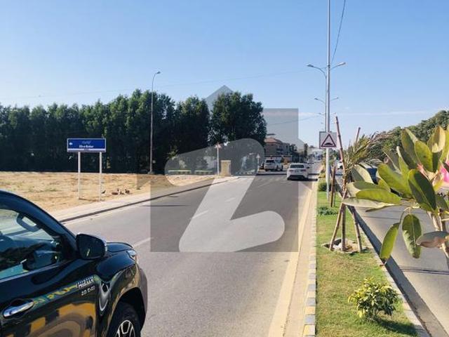 Spacious 1000 Yards House For Rent With Swimming Pool DHA Phase 8