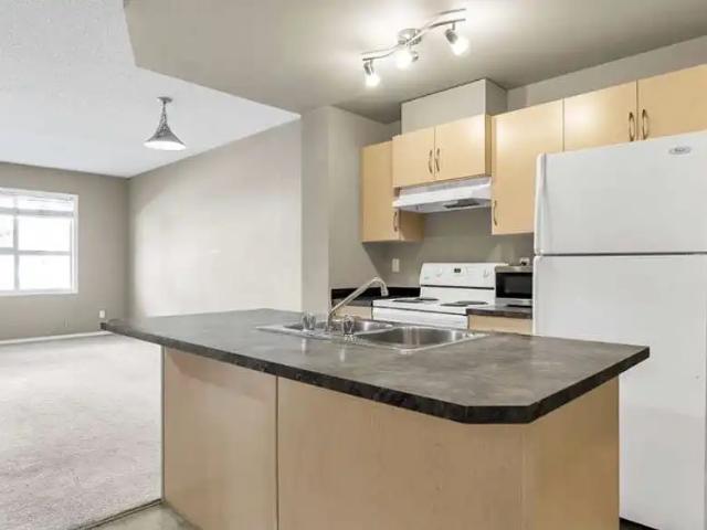 Spacious 1 bedroom Condo | 1 Bath | All Utilities Included