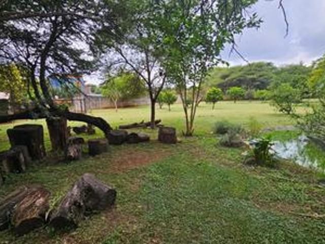 spacious 1 hectare smallholding in p.