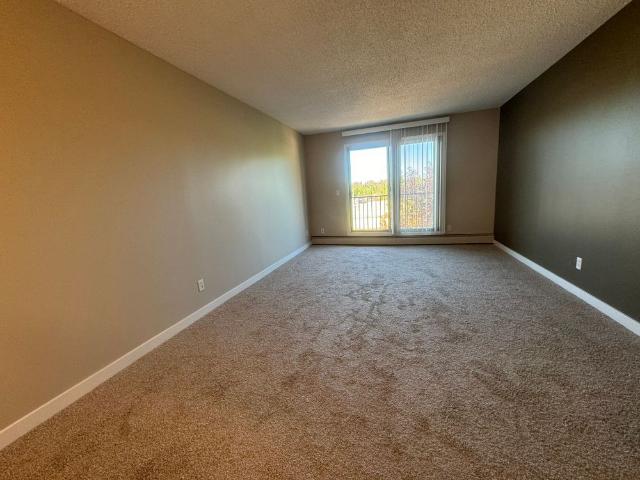 Spacious 2 Bedroom Cat Friendly Suite in Clearview!