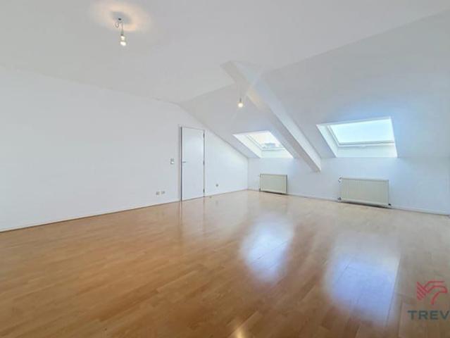 Spacious 2 bedroom flat + cellar and garage