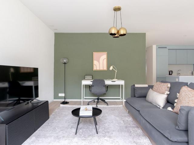 Spacious 2 Bedroom Furnished Apartment in Wollishofen with River Views, Zurich Amsterdam Apartments for Rent