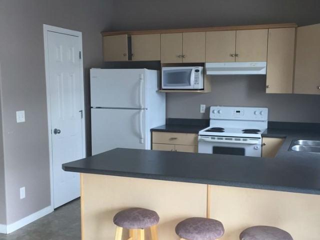 Spacious 2 Bedroom Townhouse with Tandem Garage & Deck! 2 Bedroom Home for Rent at 5102 30 Ave, Beaumont, AB T4X 0A9