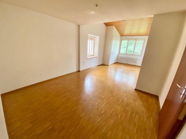 SPACIOUS 3 ROOM APARTMENT IN THE CENTER OF ROMANEL