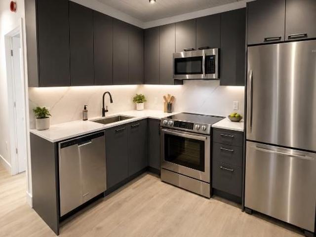 Spacious 3 1/2 in the heart of Hochelaga