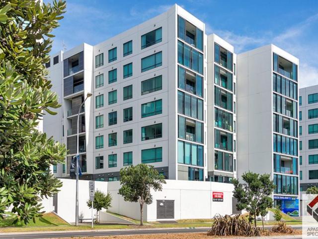 Spacious Waterfront Apartement in Central City Auckland Central, Auckland City, Auckland