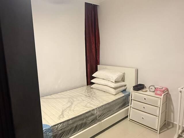 Spacious and Cozy Single room