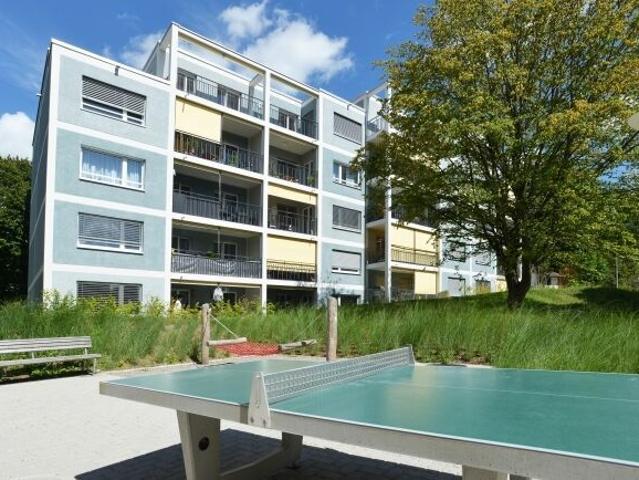 Spacious attic apartment on the outskirts of Wetzikon
