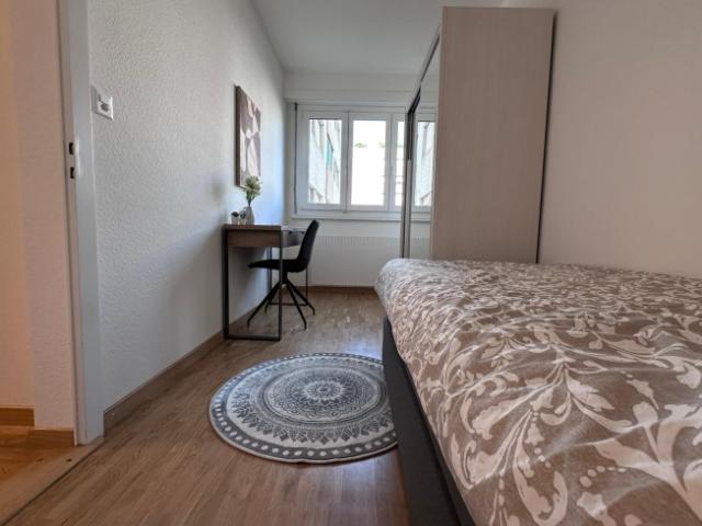 Spacious Coliving with City Access and Nature Vibes in Thônex