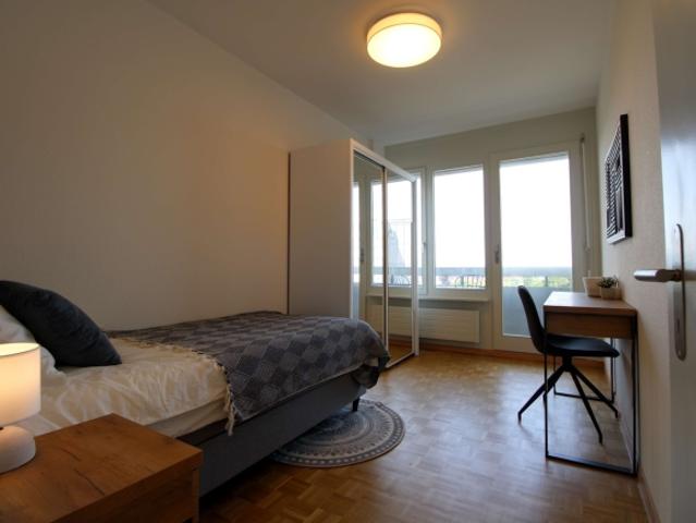 Spacious Coliving with International Connections in Le Grand Saconnex