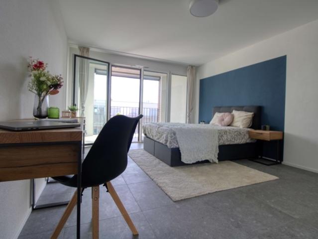 Spacious Coliving Apartment in Crissier with private Balcony