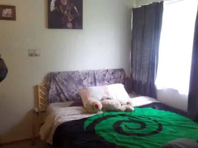 Spacious Family Home in the Heart of Ngāruawāhia