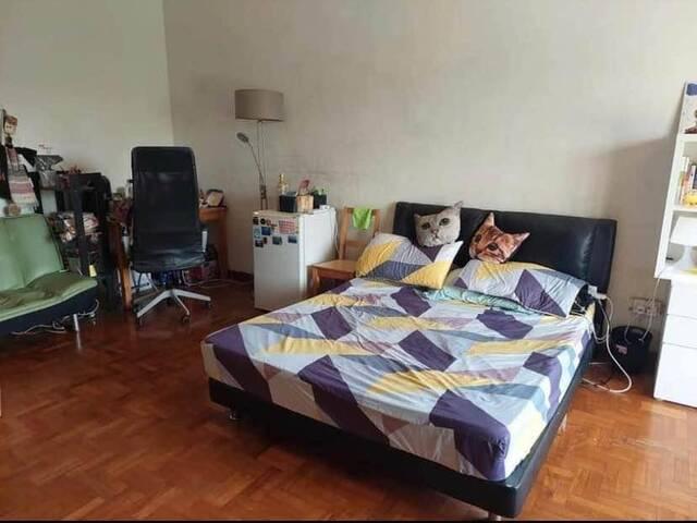 Spacious Landed House near NTU