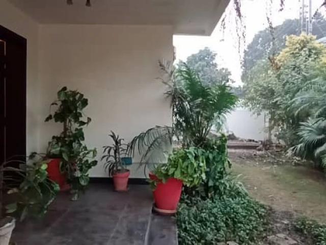 SPACIOUS Lahore Cavalry Extension ID 86303