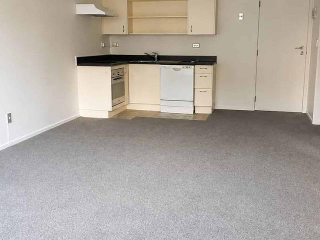 Spacious One Bedroom Apartment Close to the Viaduct
