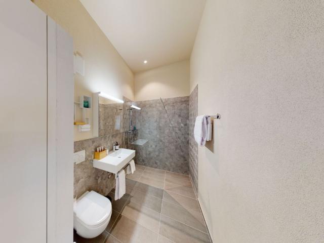 Spacious Premium Loft in Zurich Altstetten, Zurich Amsterdam Apartments for Rent