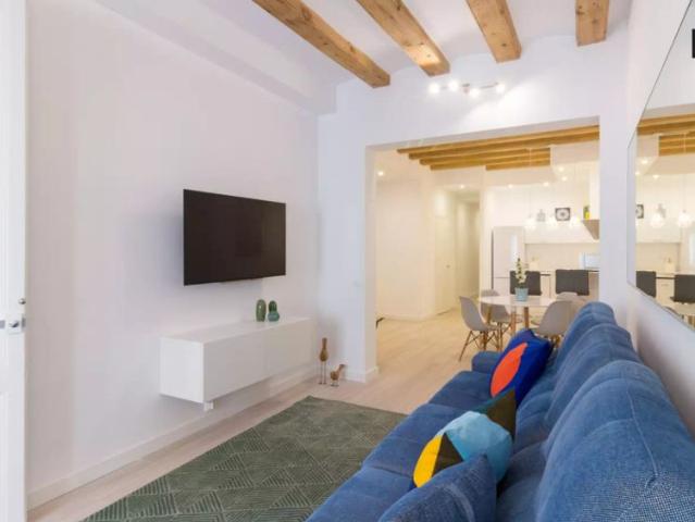 Spacious room for rent in 4 bedroom apartment in Barri Gòtic