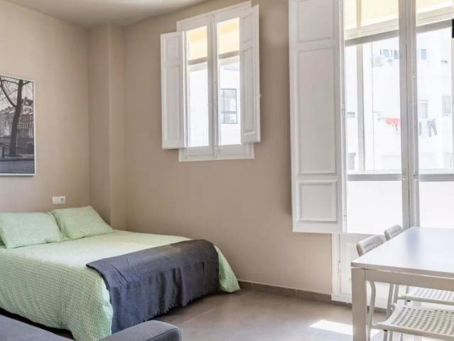 Spacious room for rent in 5 bedroom apartment in L'Eixample