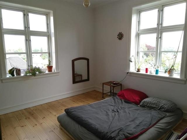 Spacious Room for Short Term Rent in a Beautiful Shared Apartment in Copenhagen 1 August – 7 September