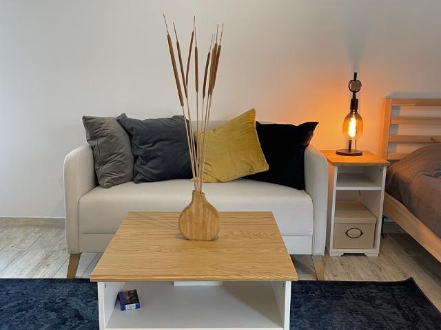 Spacious Studio in Sunny Villa