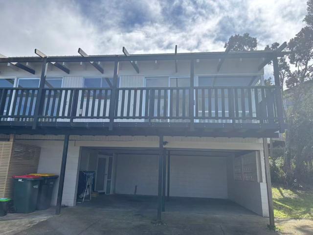Spacious, Sunny & Newly Renovated