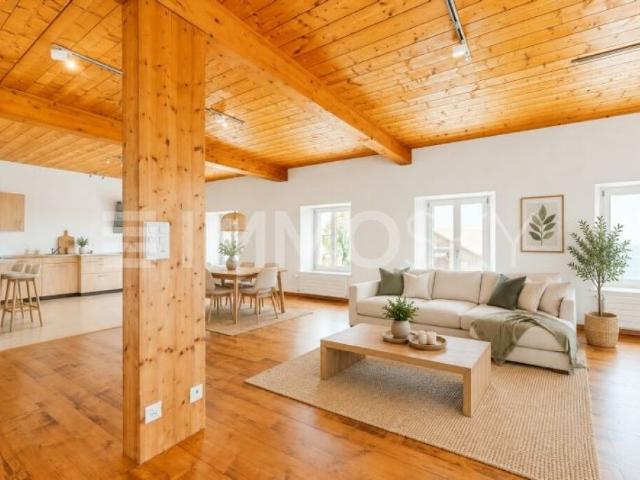 EN EXCLUSIVITE: Spacieuse maison à Mauborget
